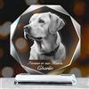 Emoragifou Cornice Personalizzata con Foto del Cane, Regali Commemorativi per la Perdita del Cane, Regalo Commemorativo con Foto in Cristallo, Regalo di Condoglianze per la Scomparsa di un Animale Domestico