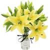 HAOSHICS Fiori artificiali 8 pezzi di gigli artificiali con 3 boccioli arte floreale vegetale fiori in lattice pieno fiore real touch per la decorazione della casa matrimoni feste uffici ristoranti (Giallo)