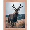 Rahmendesign24 Cornice portafoto Milano 50 x 70 cm, colore rovere naturale, cornice intercambiabile, cornice puzzle