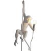 SELETTI Lampada In Resina Monkey Lamp Cm.37X25 H.76,5 - Con Corda