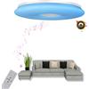 chysongoods-XK Plafoniera musicale LED con altoparlante Bluetooth Φ30cm 28W controllo vocale e APP Compatibile con Alexa/Google Home Cambio colore RGB Regolazione colore dimmerabile con telecomando