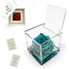 La Rosa dei Sogni Rosa Stabilizzata Profumata con Petali in gel in Cubo Trasparente - Confezione Regalo Elegante - Durata 5-7 anni - Made in Italy - 5x5 cm (Verde)