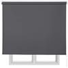Estores Basic Tende a Rullo Oscuranti Premium, Tenda Oscurante per Massima Privacy con Facile Installazione a Soffitto o a Parete, Tenda Opaca per Soggiorno o Camera da Letto, STORESBASIC Grigio Chiaro 100x180