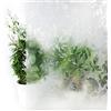 DecoMeister fogli per finestre pellicola adesivi per vetri decorativi decorazioni lamine autoadesivi di fiori di cristallo 67,5x100 cm Damasco