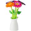 Vigar Set Penna a Sfera 5 Pezzi, Flower Shop, Multicolore