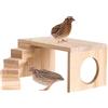 Generico Piattaforme In Legno Per Criceti, Giochi in Legno per Piccoli Animali, Giocattolo Scalabile Compatto per Criceti, Porcellini d', Gerbilli, Scoiattoli e Roditori