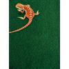 Komodo Reptile Tappeto,