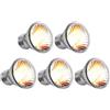 Giwnhvx 5 lampadine riscaldanti UVA+UVB per rettili serpente tartaruga lampada di riscaldamento con lampadine UV riscaldanti per una varietà di animali come serpenti, ecc., 25 W
