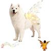 Generic Ali da fata illuminate per cani, costume da angelo con luci a LED, ali luminose per cani, oggetti di scena per foto, vesti il tuo cane come una farfalla per San Valentino, carnevale, feste (A)