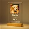 Bemaystar Foto per Animali Domestici Lampada Personalizzata Regalo Cane Regalo Gatto Cornice Commemorativa per Animali Domestici Ricordo Targa per Animali Luce Notturna