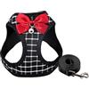 DAGLLGEW Set di pettorina e guinzaglio per gatti, traspirante, confortevole, carina, con fiocco e campana, regolabile e antiscivolo, per cuccioli, gattini, conigli, Xxs, cani, gattini, guinzagli e