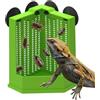 Zasdvn per Cibo Drago Barbuto - con per Rane e Gechi da Terrario - Vasca Alimentatore per Arrampicata - per Terrario Rane Gechi Tartarughe Allevatori