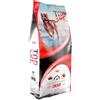 Pet's Garden Top Energy Crocchette per Cani Gusto Agnello Arrosto Alimento Secco Adatto a Cane Adulto di Taglia Grande Sacco da 20 kg Prodotto Italiano