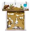 AntHouse Kit Nido Di Formiche In Acrilico Con Sabbia A Forma Di T Mini - Sandwich 14x5x14 Cm E Cassa Di Foraggiamento - Formicaio Con Formiche Vive Incluse (Regina, Operaie, Uova E Larve) - Trasparente