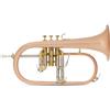 Lechgold FH-60GB Flicorno - in bronzo fosforoso - accordatura: Bb - diametro campana: 152 mm - con custodia leggera - spazzolato e verniciato trasparente