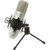 TASCAM TM-80 - Microfono a Condensatore per Home Studio Recording