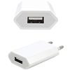 Accessories Electronics MD813ZM/A Carica Batteria compatibile con Apple A1400 Spina EU Caricabatterie Adattatore USB 1A 5W da Muro Bianco in confezione sigillata per IPhone 4 5 5s 5c 6 6s 7 Plus 8 Plus X USB Power Adapter