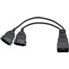RIIEYOCA Cavo adattatore di rete 2 in 1, cavo adattatore di alimentazione per spina UPS IEC 320 C20 su doppia presa Euro CEE7/16, nero, 0,32 m
