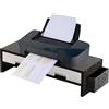 Generico Supporto Per Monitor Da Scrivania - Organizer Ergonomico A Doppio Cassetto, Piattaforma Di Visualizzazione Del Computer Rialzata, Accessorio Multifunzionale Per L'area Di Lavoro | Organizzazione Deskt