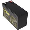 AccuCell Neu Kung Long wp1236 W 12 Volt 36 W batteria con piombo 9 AH, 6,3 mm FASTON Tab 250