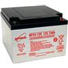 Hawker Enersys Genesis NP24-12 - Batteria al piombo PB, 12 Volt, 24 Ah