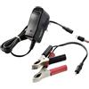 VOLTCRAFT Caricatore per batterie al piombo BC800 6 V, 12 V Corrente di carica (max.) 0.8 A