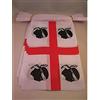AL PRODUCTION Ghirlanda 6 Metri 20 Bandiere Regione Sardegna Bandierina 15x21 Cm