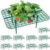 Nexoria 10 pezzi maturatore di fragole, supporto fragole, protezione per lumache, griglia di fragole, in plastica, per piante e fragole, per piante di fragole (B)