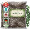 ORAGARDEN Monstera Terra per piante d'appartamento e giardino - 12L Monstera Substrato per piante, palme, fiori - 5 componenti terriccio