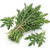 Generico Semi di Rucola Selvatica a Foglia Frastagliata 6g | Alta Germinazione | Insalata Aromatica dal Gusto Intenso | Semi da Orto per Vaso e Giardino | Raccolta Continua | Made in Italy