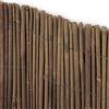 PARDINI Piantallegra - Stuoia in Canna di Bamboo Intera, rilegata con Filo zincato Ogni 10cm, Dimensioni 1.5x3m