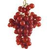 AMDGarden Pianta di Uva Vite Innestata Flame Seedless Rossa Apirena senza Semi da Tavola in Vaso 16 cm