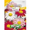 MONDONATURA SRL Semi Margherita ''Piretro'' Perenne da taglio. 2 Buste Linea Maxi, Mondonatura Srl