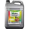 Papillon The Original Dancewear OLIO CATENE MOTOSEGHE l.5 SINTETICO [ZOIL ]