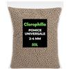 Clorophilla Pomice Vulcanica 2-4 mm per Piante - Inerte Naturale Drenante e Aerante - Substrato Professionale per Bonsai, Cactus, Succulente e Terrarium - Granulometria Fine - Made in Italy (50 Litri)