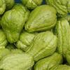 Generic semi di chayote, semi interni organici hortalizas balcone, resistenti all'esterno 65pcs