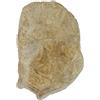 wasserkaskaden Fontane a Cascata Cascata d'Acqua Fulda Prolungamento Roccia, Beige/Marrone, 60 x 41 x 8 cm