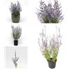 Generic 300 pz Semi resistenti alla pianta di ruta blu - decorazione del balcone esotica Perovskia abrotanoides - piante perenni autunnali pianta rustica fiori decorazione piante da
