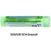 Boiron Sulfur Boi 5ch 80gr 4g