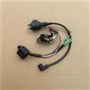 AOLUOER ET950 ET650 IE45 TG950 Con accensione magnetica Accenditore for generatore T//I//G//E//R 450W 650W 800W 950W 1000W 2 tempi