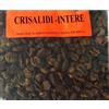 generico crisalide Intera crisalidi ingredienti Pesca cavedano Carpa innesco pastura bagoccio