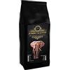 THE COFFEE & TEA COMPANY Caffè Jumbo | Caffè elefante Maragogype (500 g, fagioli interi) - I fagioli più grandi del mondo, senza acidi, extra delicato