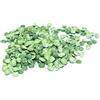 ITALIA SPEZIE Piselli Verdi spezzati -500g - Italia Spezie