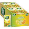 Tic Tac Citrus Adventure Mints, 12 pezzi, rinfresco in movimento, riempitivi per calze, 48,2 g ciascuna