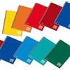 Blasetti Quaderno One Color - A5 - quadretto 4mm - 60fg - 80gr - 4fori - spiralato - Blasetti