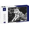 Lais Puzzle Lupo Bianco Nero 1000 Pezzi