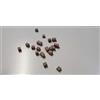 DOMUS KIT Bricks Ref. 03005 Muro Irregular 4-10X5X5 mm Pieces 300 Domus Kits, ZIEGEL,MATTONCINI,Brique,LADRILLO