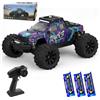 X-Verse PT14R - Auto telecomandata 1:14, 100 km/h, 4 WD, impermeabile, con motore brushless 3S, 2,4 GHz, fuoristrada, per adulti, 3 batterie, viola