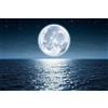 MMACPUZZLE Luna Luminosa Sul Mare, Puzzle Da 1000 Pezzi, Puzzle Splendidamente Illustrato, Puzzle Artistico, Puzzle Divertente, Puzzle Luna Sul Mare Da 1000 Pezzi