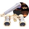 Generic Binocolo per Opera 3x25 con Manico e Catena | Pezzo da Collezione per Teatro e Corse | Compatto e Leggero per Concerti, Opera, Cosplay e Party a Tema(Silver-gray2)